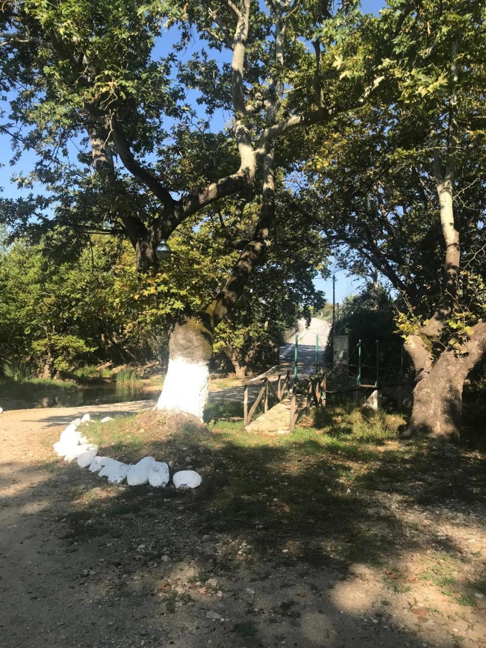 Platanorema Agios Ioannis Prodromos Buitenkant foto