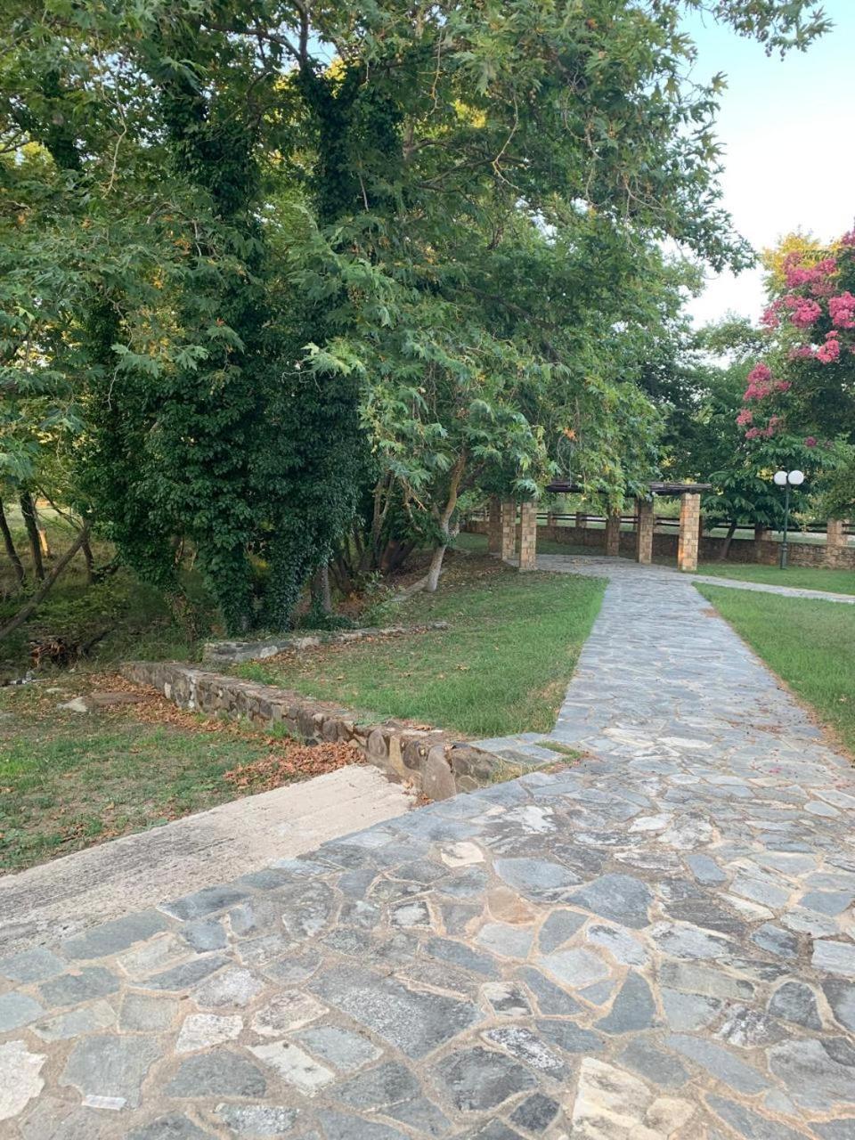 Platanorema Agios Ioannis Prodromos Buitenkant foto